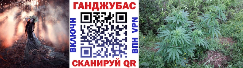 продажа наркотиков Ува Канабис Amnesia